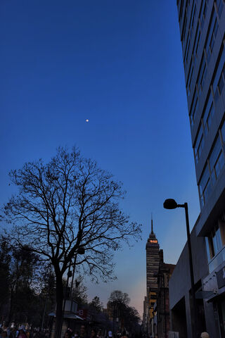 Evening Serenity in the..