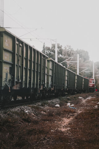 Trains on the Tracks 🚂🌿