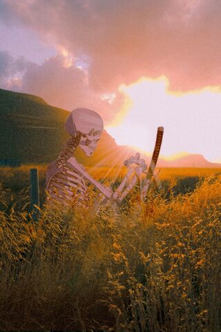 Sunset Serenity: A Skel..