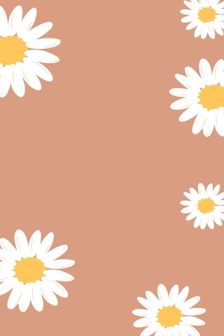 Daisy Floral Patterns