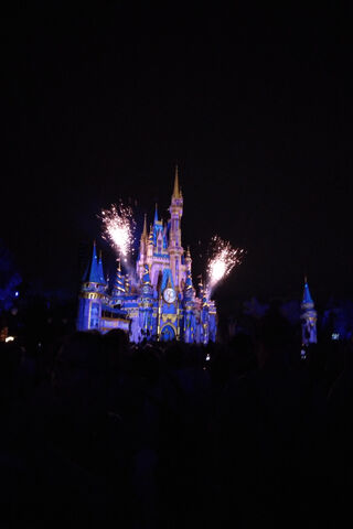 Disney Castle