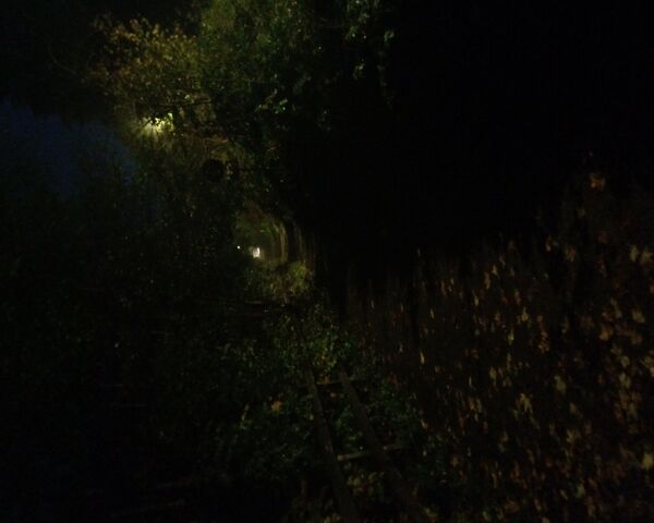 Whispers of the Night: ..