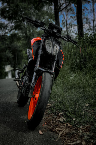 Bold Ride on a Scenic R..