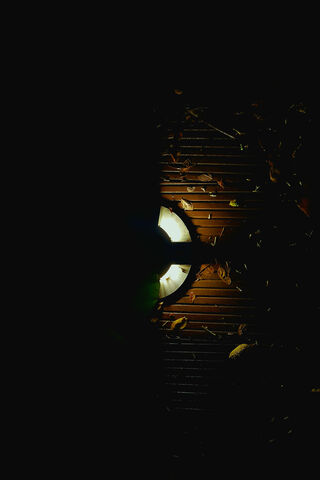 Dark Theme