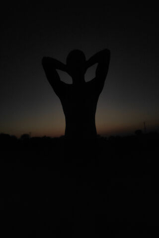 Silhouette at Dusk 🌅