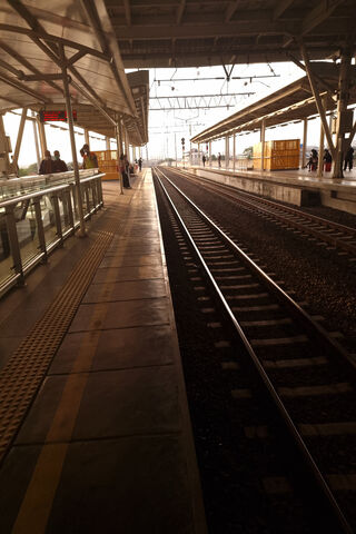 Quiet Moments at the Train Station 🚉✨