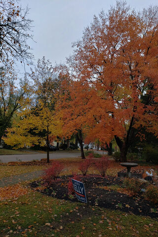 Fall