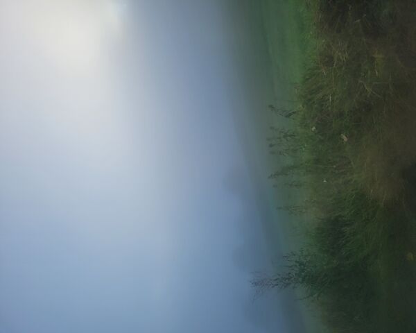 Mysterious Morning Fog ..