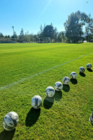 Ready for the Game! ⚽🌞