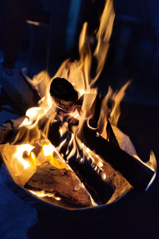 Cozy Campfire Vibes 🔥✨