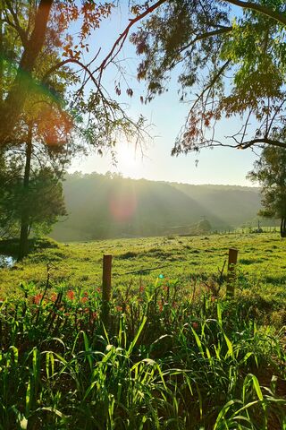 Serene Sunrise Over the..