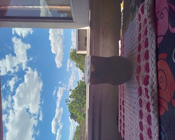 Refreshing View with a ..