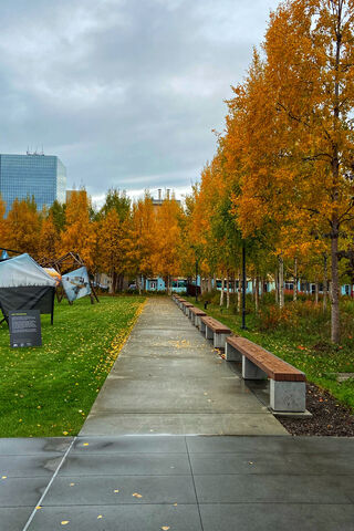Autumn Serenity in the City 🍂🌆