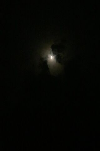 Mystical Glow: The Enig..