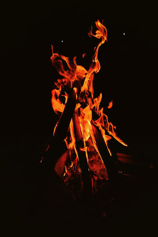 Cozy Campfire Vibes 🔥✨