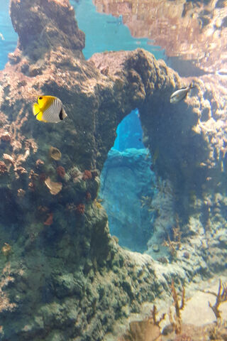 Underwater Wonderland �..