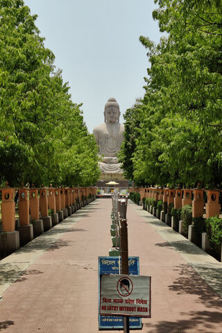 Serene Path to Enlighte..