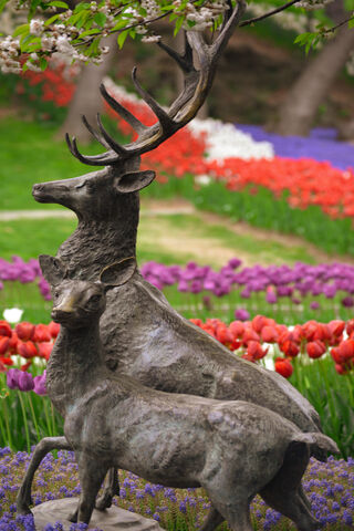 Majestic Deer Sculpture..