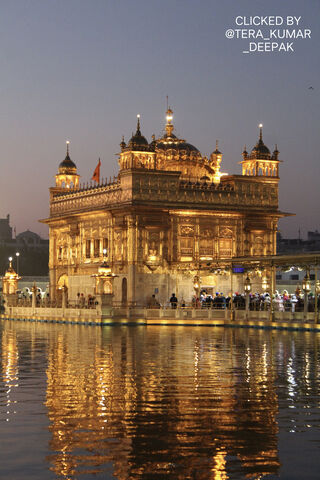 Golden Reflections: The..
