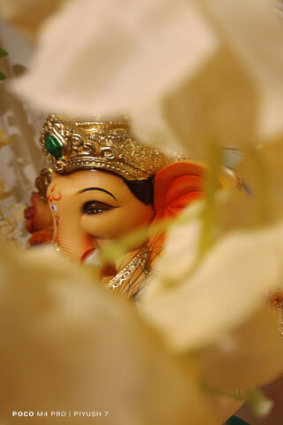 Divine Blessings of Gan..