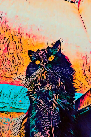 Gin The Cat: A Colorful..