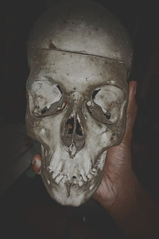 Mysterious Skull Discov..