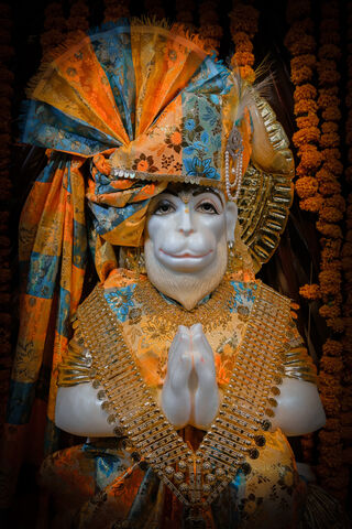 Divine Blessings of Lor..