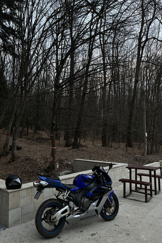Adventure Awaits! 🏍️🌲