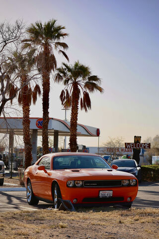 Hellcat