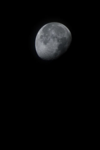 Mystical Moonlit Night ..