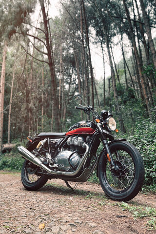 Interceptor 650: The Ultimate Adventure Companion 🏍️🌲