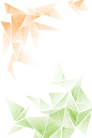 Indian Flag