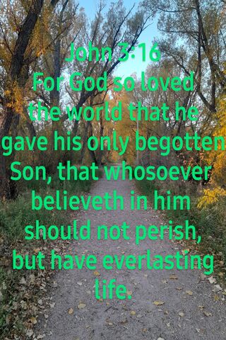 John 3:16