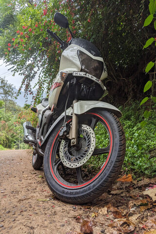 Adventure Awaits! 🏍️🌿