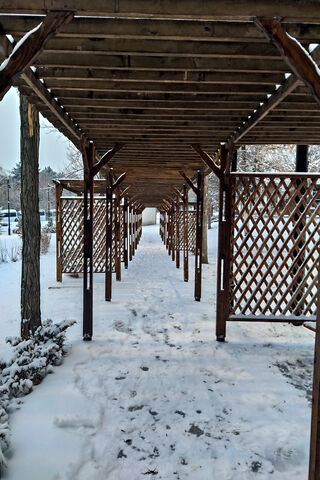 Winter Wonderland Walkway ❄️🌨️