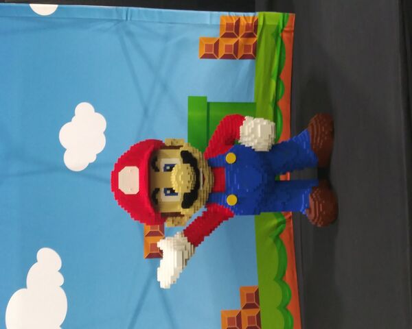 Mario in LEGO Land! 🎮🧱
