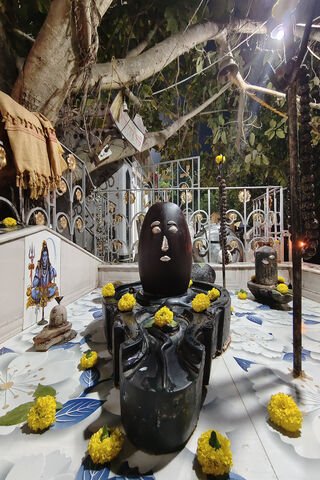 Serene Temple Sanctuary..