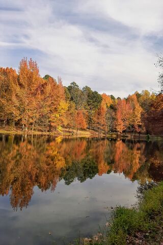 Lake Ponder