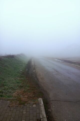 Mysterious Foggy Road 🌫️🚶‍♂️