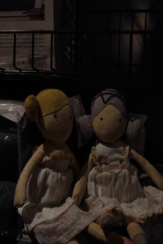 Vintage Doll Companions..