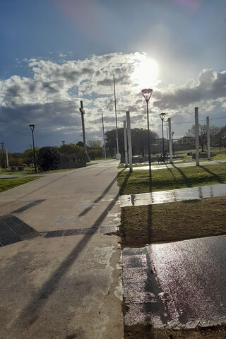 Serene Park Pathway 🌞🌳