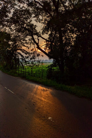 Serene Sunset by the Ro..