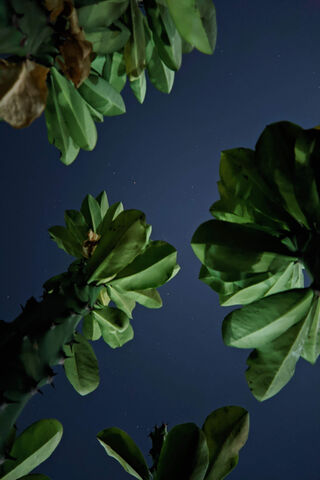 Low Light Night Shoot