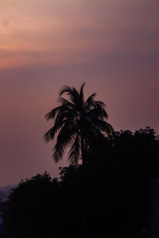 Serene Sunset Silhouett..