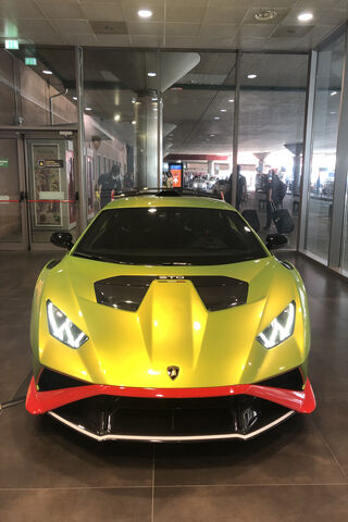 Eye-Catching Lamborghin..