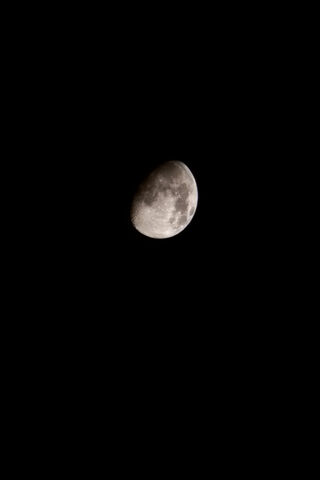 Enchanting Moonlit Nigh..