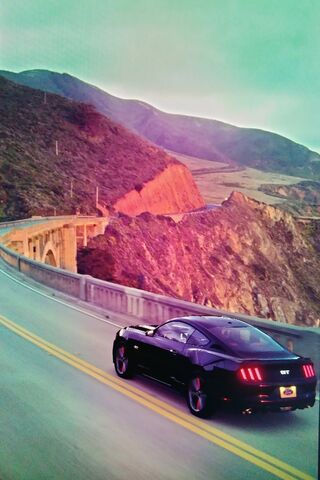 Cruising the Open Road:..