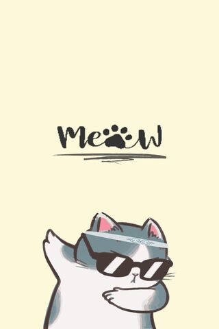 Meow Cute Cat