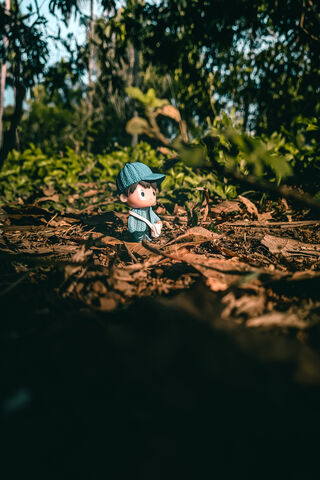 Tiny Explorer in the Wi..