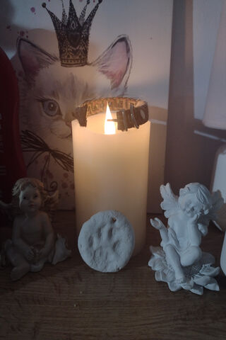 My Cat Passed Away?